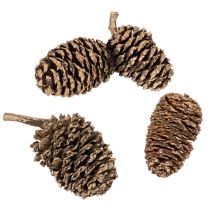 Artikel Erlenzapfen Naturprodukt mit Goldüberzug 3 cm 300 g für Dekoration und Floristik