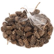 Artikel Erlenzapfen Naturprodukt mit Goldüberzug 3 cm 300 g für Dekoration und Floristik