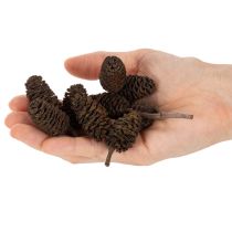 Artikel Erlenzapfen lose 3 cm Naturbraun 300 g für Dekoration