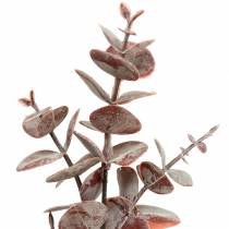 Artikel Eukalyptus künstlich Burgundy 32cm Künstliche Pflanze wie echt !