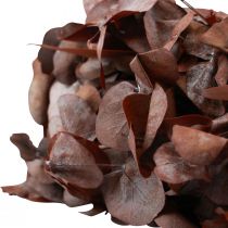 Eukalyptuskranz Naturkranz Eukalyptus Konserviert Rot Ø33cm