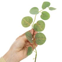 Artikel Künstlicher Eukalyptuszweig 120cm – Dekoration für Tisch, Vase und Events