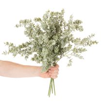 Artikel Künstlicher Eukalyptuszweig Dekozweig 49cm Grün 4 Stück