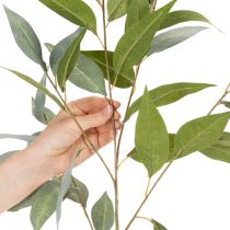 Artikel Künstlicher Eukalyptuszweig Kunststoff naturgrün 100cm Innenbereich