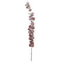 Artikel Eukalyptuszweige konserviert Trockenblumen 75cm dekorative Gestaltung