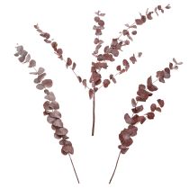 Artikel Eukalyptuszweige konserviert Trockenblumen 75cm dekorative Gestaltung