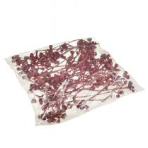 Artikel Eukalyptuszweige Rot Gefrostet Naturdeko Exoten 25 St