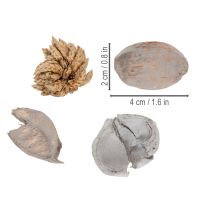 Artikel Potpourri Naturmaterial Tischdekoration 18x18x5cm Innenbereich