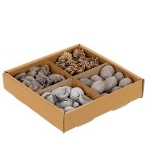 Artikel Potpourri Naturmaterial Tischdekoration 18x18x5cm Innenbereich