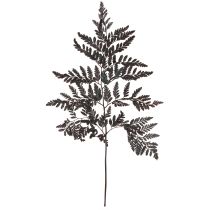 Artikel Farn Deko Schwarz konserviert 45cm 10 St für Floristen