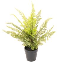 Artikel Kunstpflanze Farn im Topf 40 cm Grün für Innenbereich