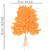 Artikel Farnzweig getrocknet konserviert Orange 42cm 10 Stück für Innenbereich