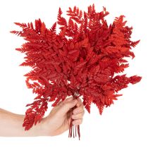 Artikel Farnzweig konserviert gefärbt 42cm Rot 10 Stück für Innenbereich