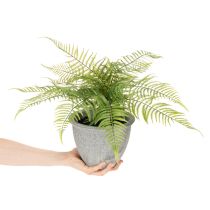 Artikel Kunststoff-Farn im grauen Pflanztopf, 35 cm Höhe, Grün