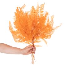 Artikel Farnzweig konserviert Orange 60cm 10 Stück