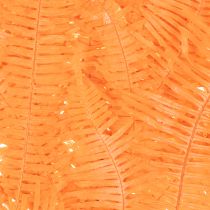 Artikel Farnzweig konserviert Orange 60cm 10 Stück