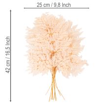 Artikel Trockendeko Farn Rosa 42cm 10 Stück