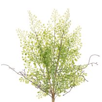 Artikel Künstlicher Ruscus Zweig 41 cm Grün für floristische Dekorationen