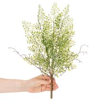 Artikel Künstlicher Ruscus Zweig 41 cm Grün für floristische Dekorationen