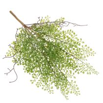 Artikel Künstlicher Ruscus Zweig 41 cm Grün für floristische Dekorationen