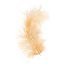 Artikel Federn Orange 5-10cm zum Basteln Frühling Ostern Dekoration 20g