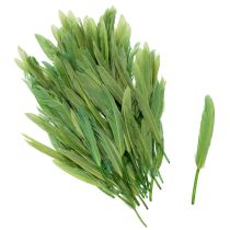 Artikel Dekorative grüne Federn 10cm für kreative und elegante Dekoration