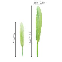 Artikel Dekorative grüne Federn 10cm für kreative und elegante Dekoration