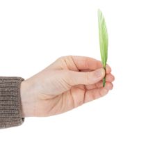 Artikel Dekorative grüne Federn 10cm für kreative und elegante Dekoration