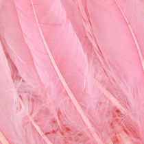 Artikel Federn Rosa Gänsefedern 18-20cm 40g Kreativbasteln Dekorationen