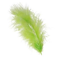 Artikel Hellgrüne Bastelfedern 5-10cm 20g für kreative Frühlingsdeko kaufen