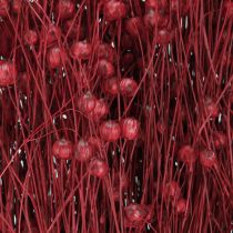 Artikel Flachs Bordeaux Rot Trockendeko - Elegante Tischdekoration mit Stil