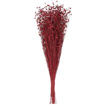Artikel Flachs Bordeaux Rot Trockendeko - Elegante Tischdekoration mit Stil