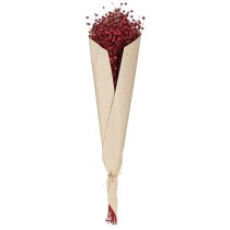 Artikel Flachs Bordeaux Rot Trockendeko - Elegante Tischdekoration mit Stil
