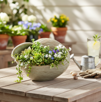 Artikel Keramikschale in Seeschneckenform 23cm Grün Braun für stilvolle Dekoration