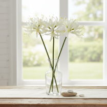 Artikel Nerine Guernseylilie Kunstblume Weiß Gelb Ø15cm L65cm