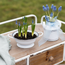 Artikel Metallschüssel Deko Weiß Schwarz Ø16,5cm H6,5cm 4St - Stilvolle Skandinavische Optik