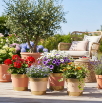 Artikel Pflanzkübel Blumentopf Metall Übertopf Ø17cm H14,5cm 4St