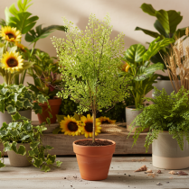 Artikel Künstlicher Ruscus Zweig 41 cm Grün für floristische Dekorationen