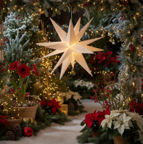 Artikel LED Stern Weihnachtsstern Kunststoff Warmweiß 60 cm Timer Outdoor