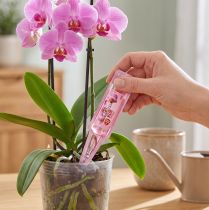 Artikel Protect Garden Beauty Kur Orchideen Düngemittel 20ml