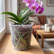 Artikel Pflanztopf für Orchideen Transparent Ø15cm 10St