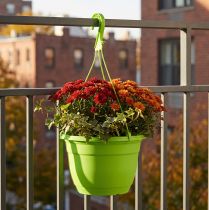 Artikel Blumenampel 25cm Grün