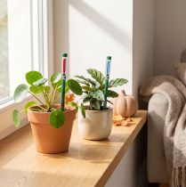 Artikel Seramis ® Gießanzeiger klein 16cm 2St