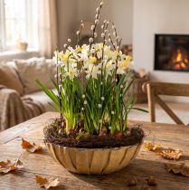 Artikel Pflanzgefäß rund, Blumendeko, Kunststoffschale, Gefäß für Gestecke Grün, Weiß meliert H8,5cm Ø30cm