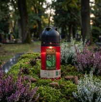 Artikel Grabkerze Rot ICP Kompostierbare Kerze zum Gedenken H20cm