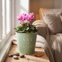 Artikel Blumentopf Zink Mintgrün Ø15cm H13,5cm