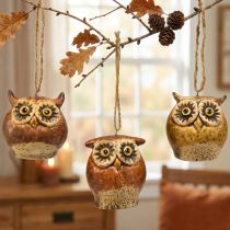 Artikel Bezaubernde Eulenanhänger – Rustikale Brauntöne, 5,6 cm – Perfekte Dekoration für Herbst und Weihnachten – 3 St