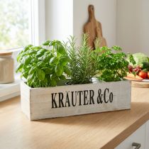 Artikel Pflanzkasten Weiß Kräuterkiste aus Holz 36×12×10cm