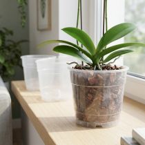 Artikel Pflanztopf für Orchideen Ø12cm Transparent 10St