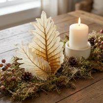 Artikel Oak Leaf gebleicht 35 St